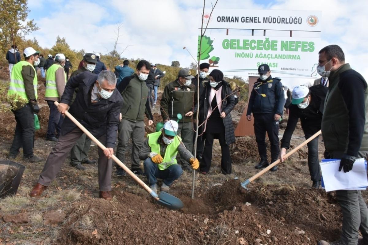 İn&ouml;n&uuml;&rsquo;de 8 bin fidan geleceğe nefes olacak