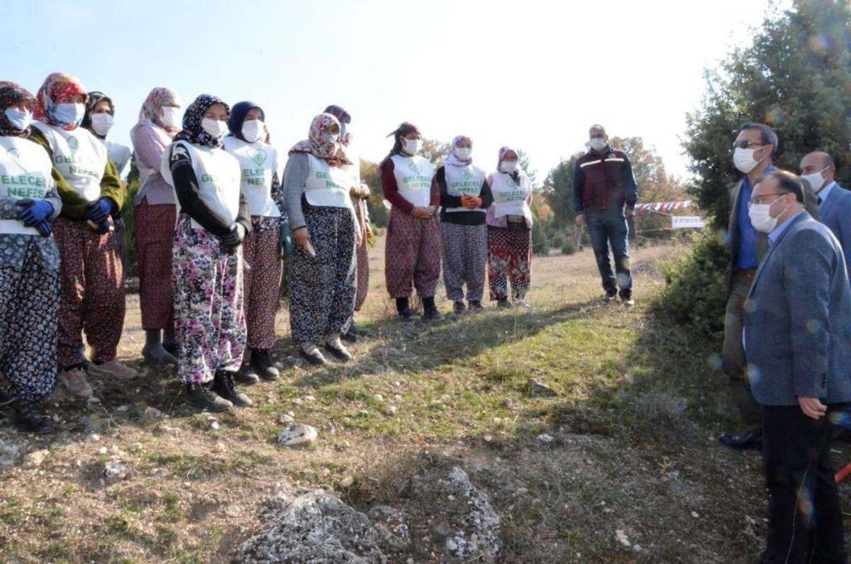 Emet&rsquo;te bin badem ağacı toprakla buluştu