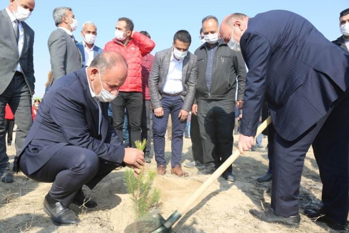 Ereğli Belediyesi binlerce fidanı toprakla buluşturdu