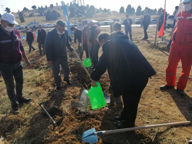 Beyşehir’de ağaçlandırma seferberliği G1