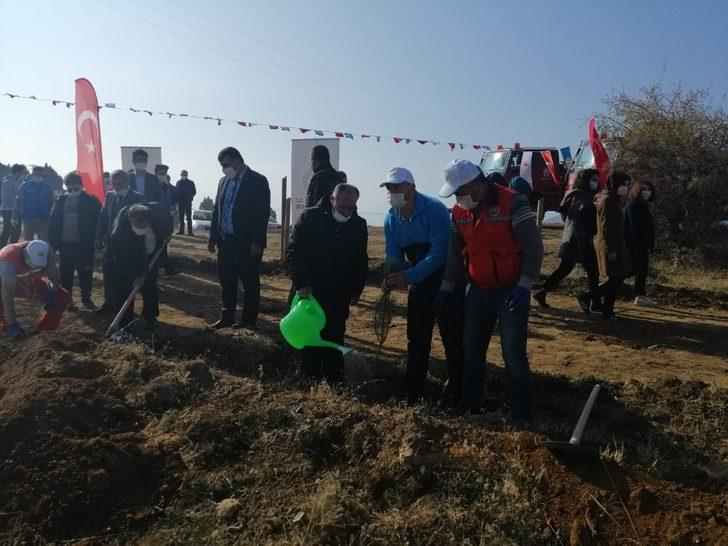 Beyşehir’de ağaçlandırma seferberliği G3