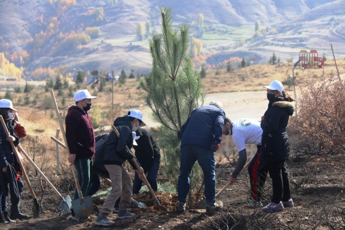 Bitlis&rsquo;te fidan dikimi