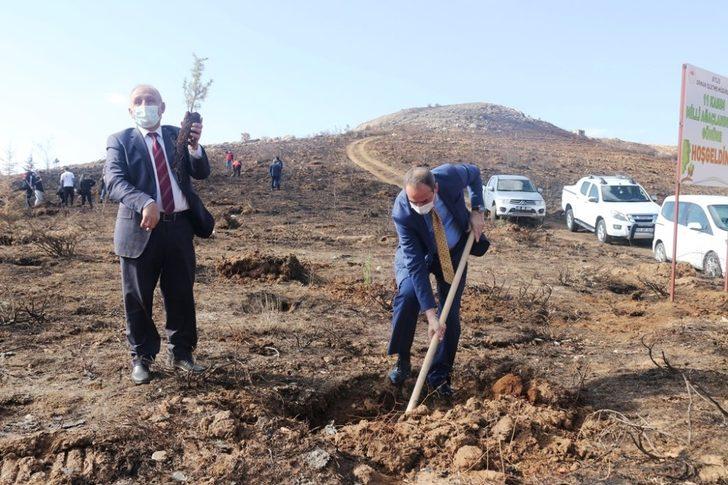 Bitlis’te fidan dikimi G2