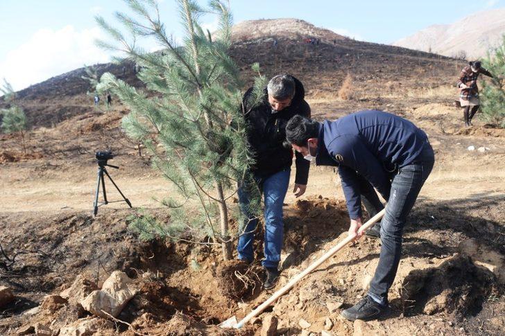 Bitlis’te fidan dikimi G3