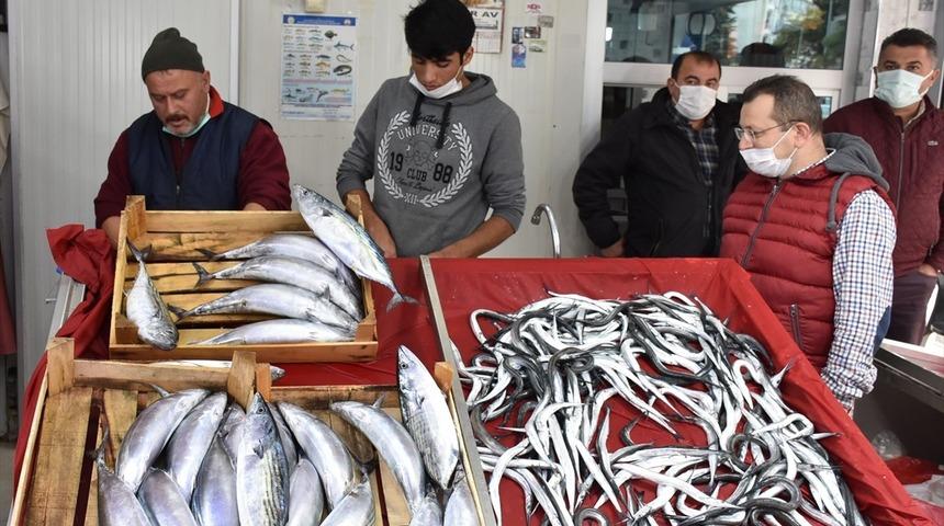 Palamudun tanesi 60 liraya yükseldi