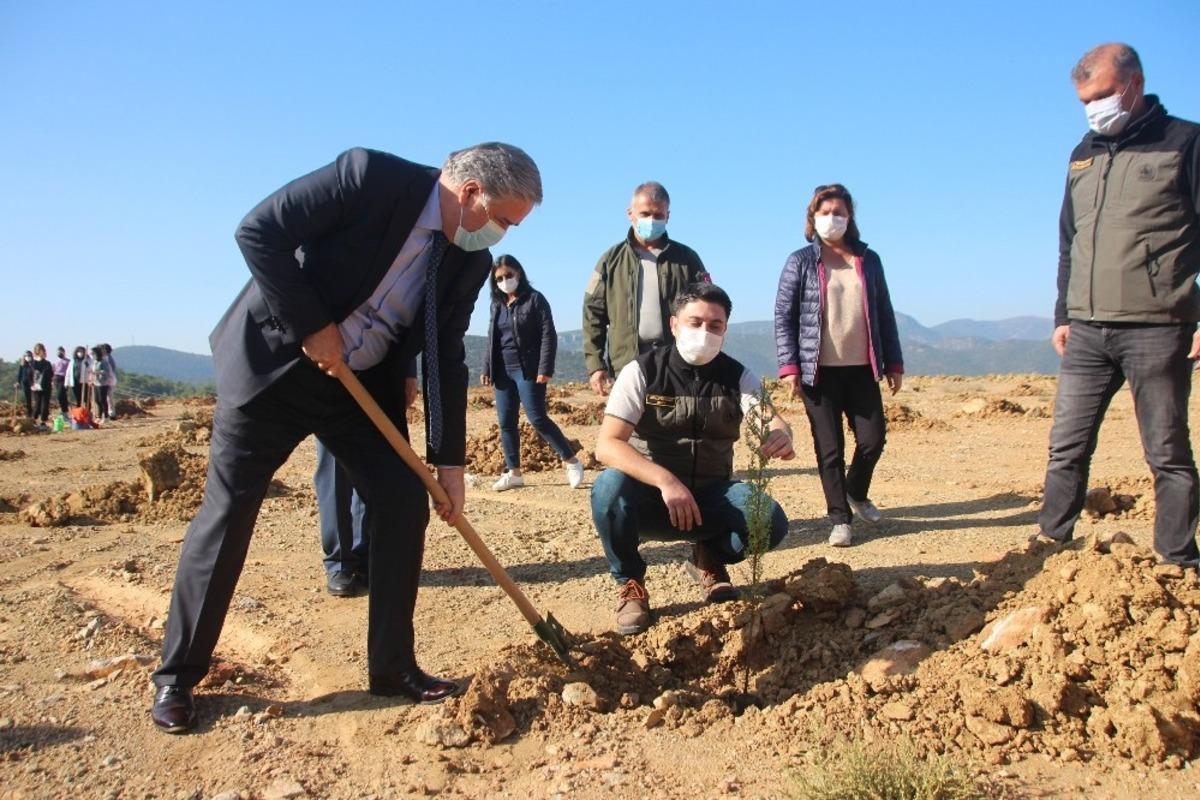 Hafriyat alanına 2 bin ağa&ccedil; dikildi
