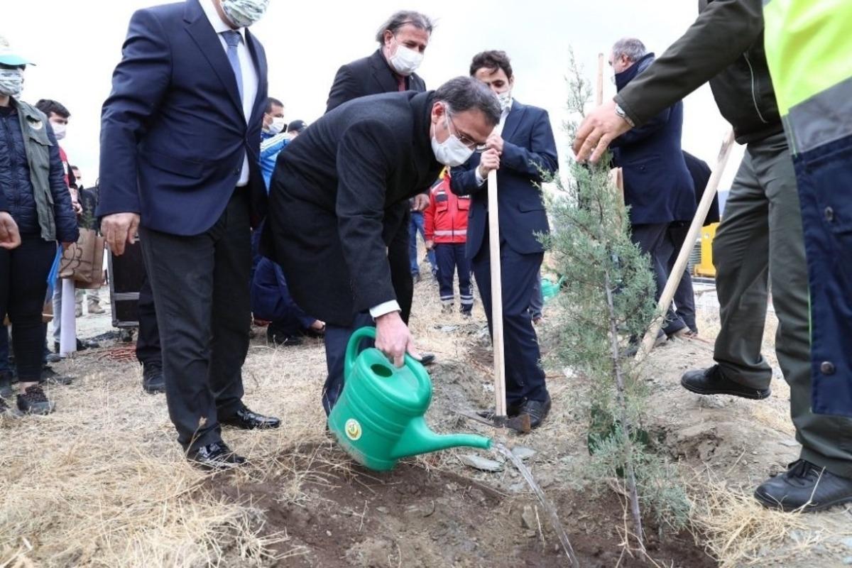 Tokat&rsquo;ta 4 bin fidan toprakla buluştu