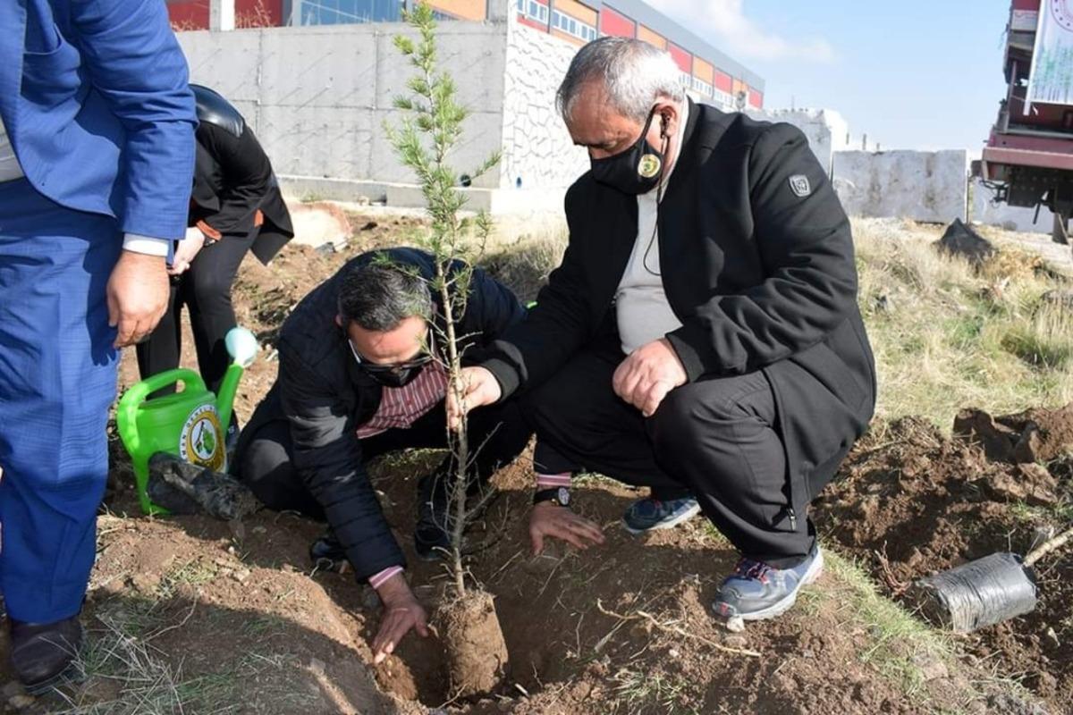 İscehisar&rsquo;da 300 fidan dikildi