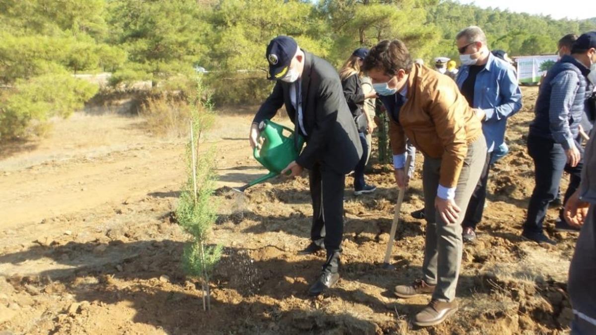 Marmaris&rsquo;te 1000 &ccedil;am fidanı toprakla buluştu