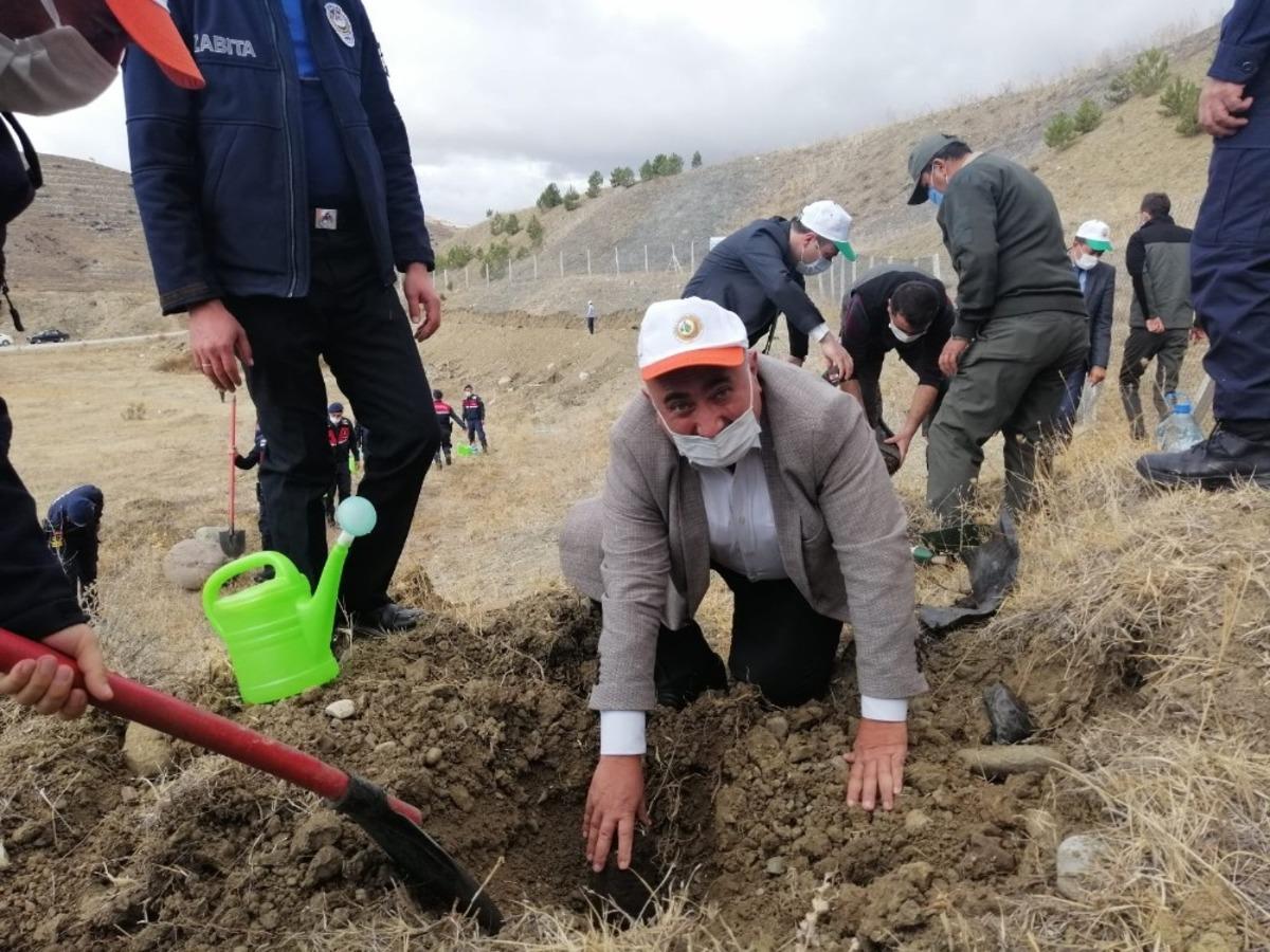 Bayat&rsquo;ta fidan dikimi