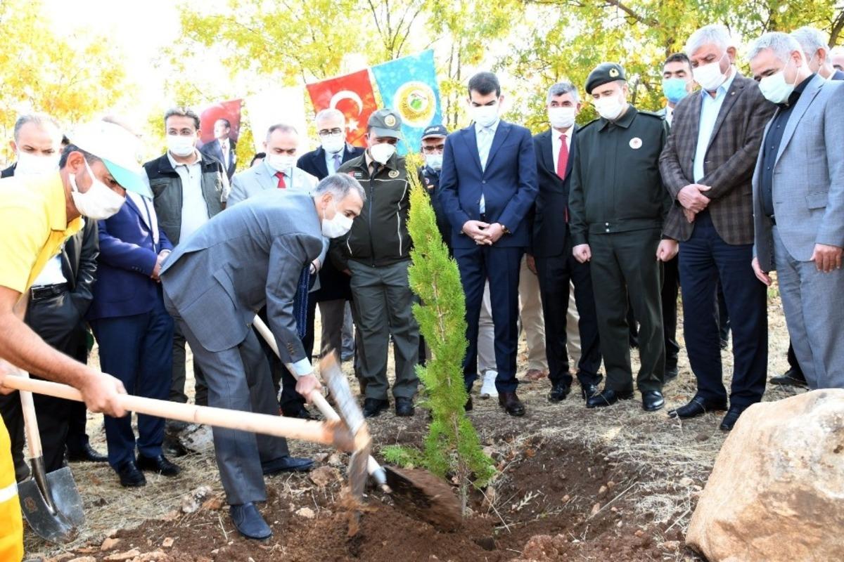 Adıyaman&rsquo;da 82 bin ağa&ccedil; fidan dikildi