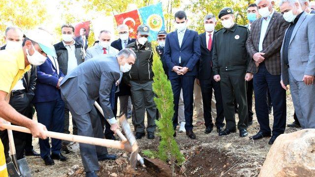Adıyaman’da 82 bin ağaç fidan dikildi