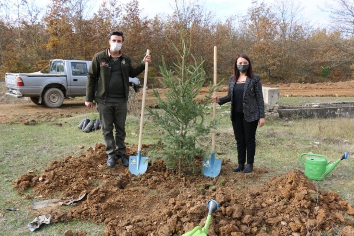 Pazaryeri&rsquo;nde &rsquo;Milli Ağa&ccedil;landırma G&uuml;n&uuml;&rsquo; etkinliği