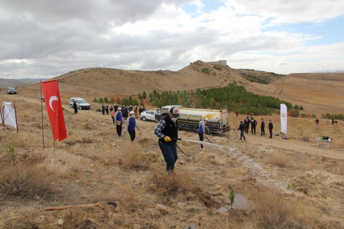 Sungurlu&rsquo;da 500 fidan toprakla buluştu