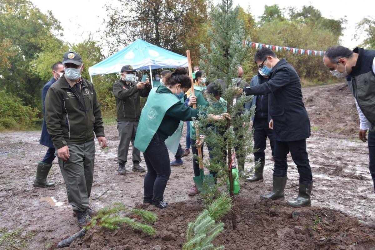 Başiskele&rsquo;de fidanlar geleceğe nefes olacak