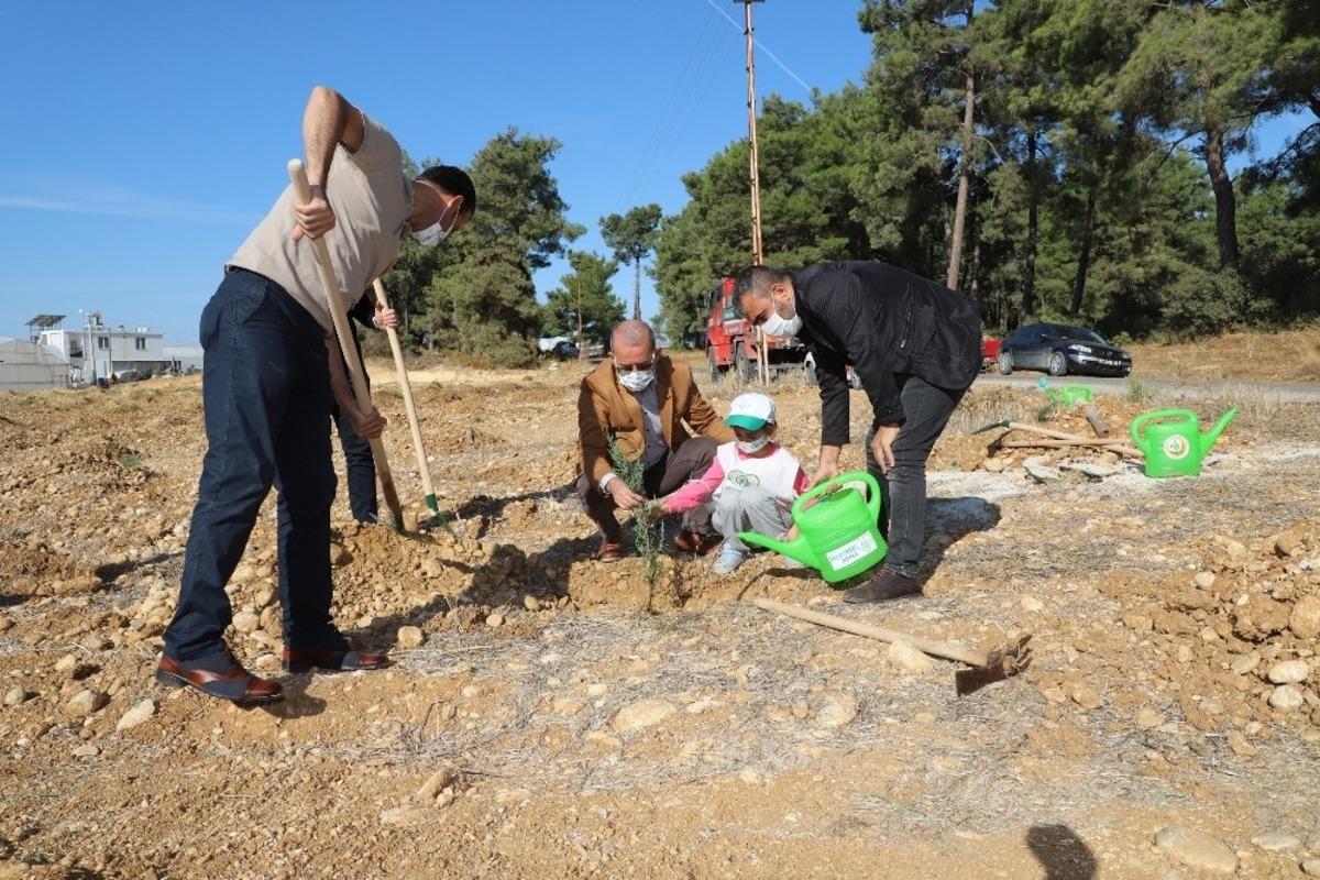 Aksu&rsquo;da fidanlar toprakla buluştu