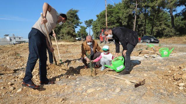 Aksu’da fidanlar toprakla buluştu