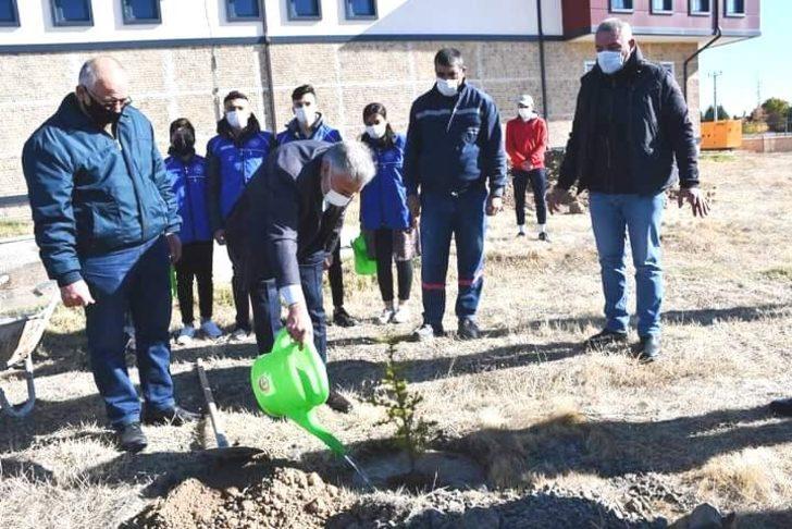 Kulu’da fidan dikimi gerçekleştirildi G1