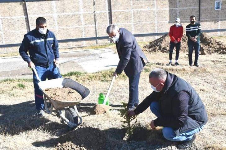 Kulu’da fidan dikimi gerçekleştirildi G3
