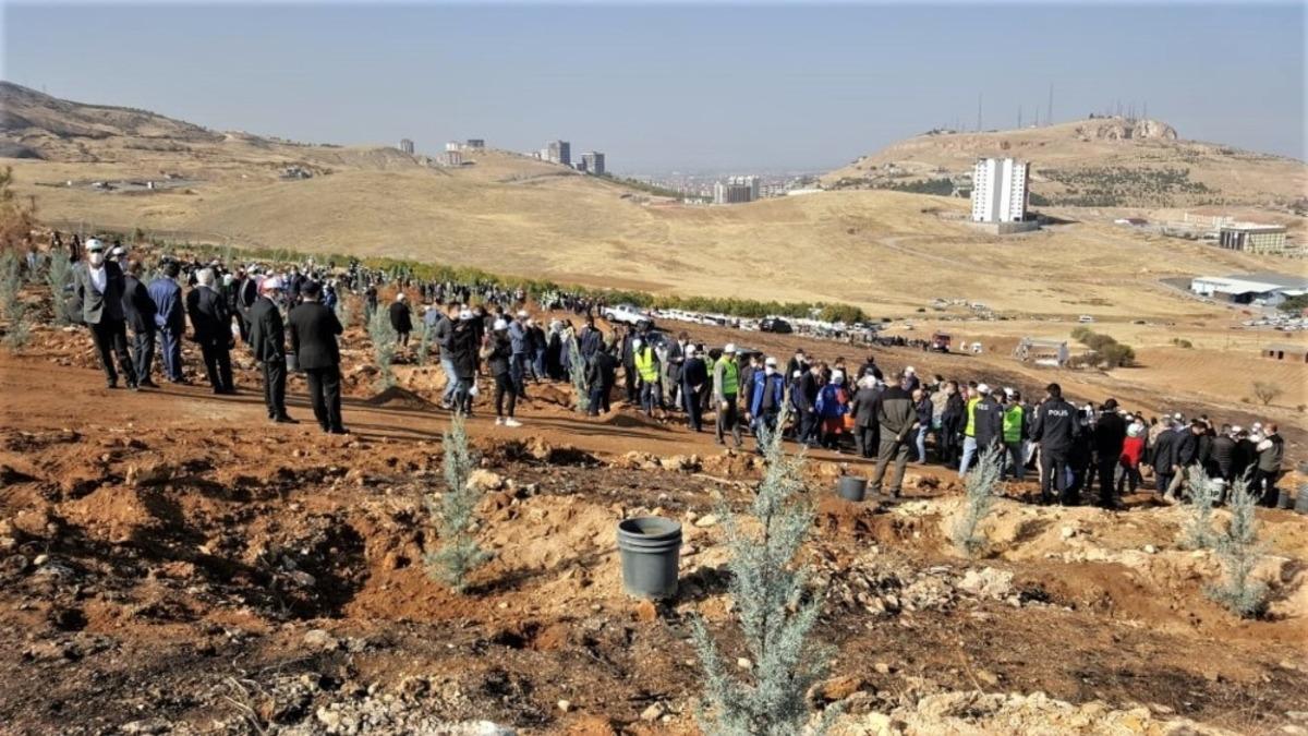 Malatya&rsquo;da fidan dikimi
