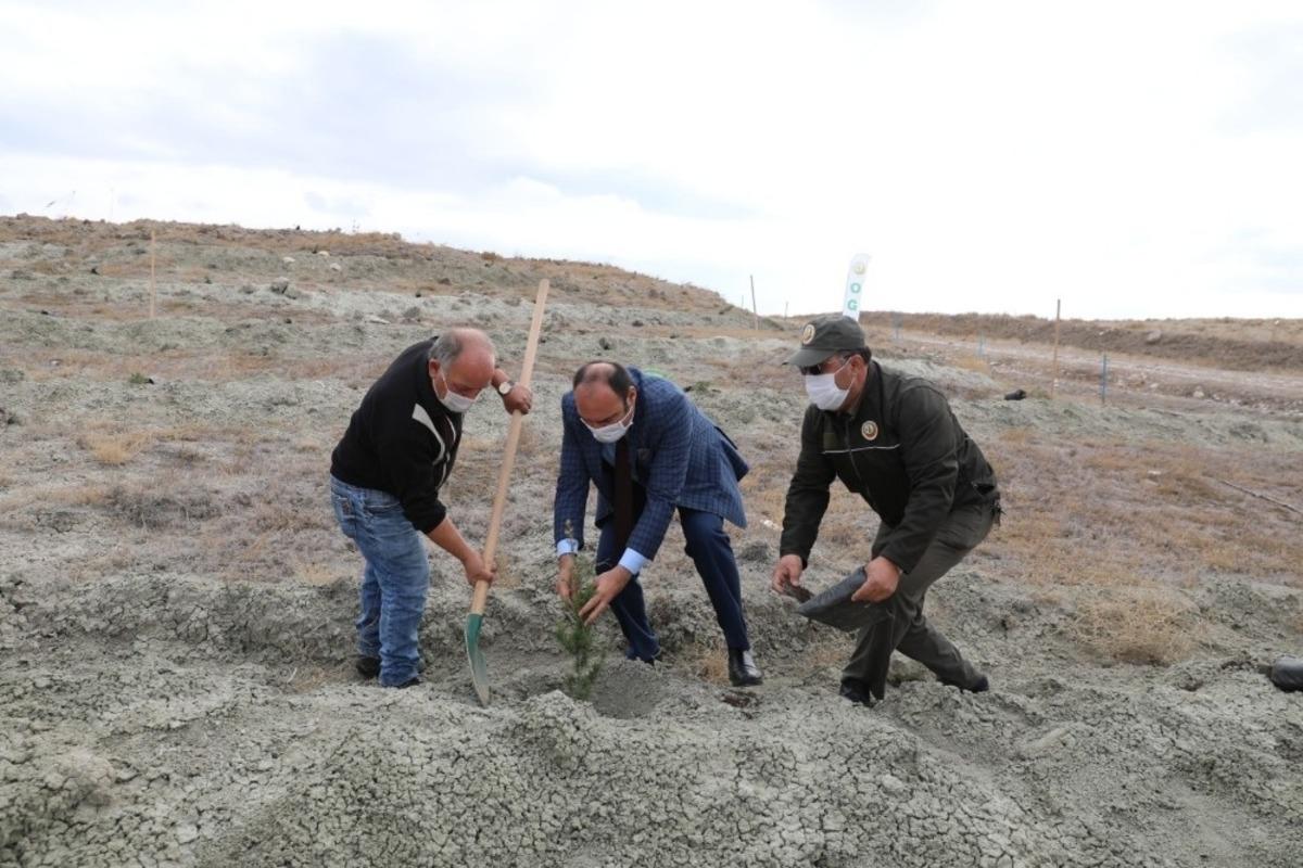&rsquo;Geleceğe Nefes&rsquo; i&ccedil;in fidanlar toprakla buluşturuldu