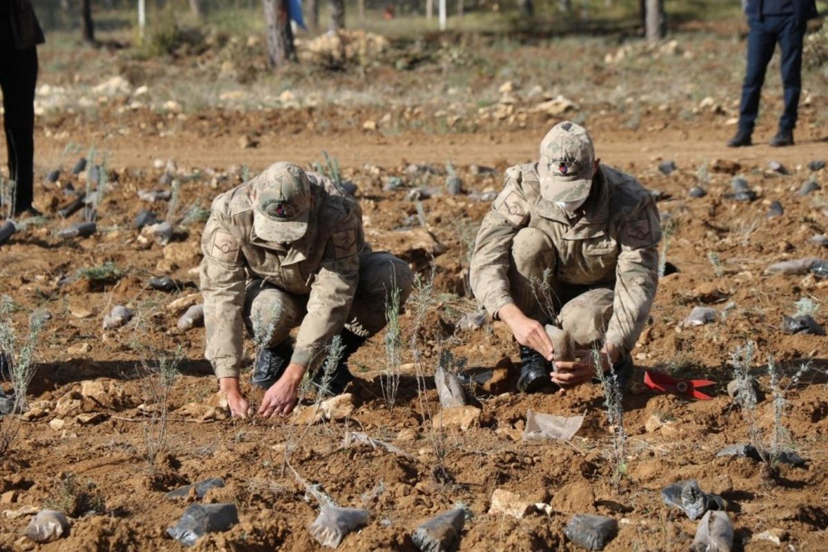 Safranbolu&rsquo;da 100 bin fidan toprakla buluşturuldu