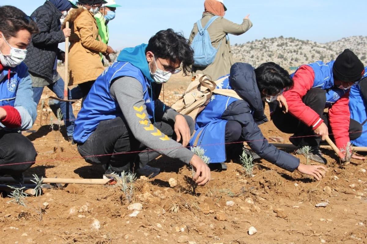Isparta&rsquo;da 20 bin fidan toprakla buluşturuldu