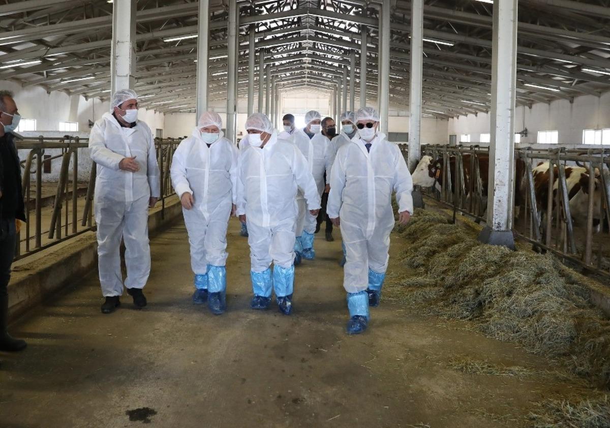 Embriyo transferi projesinde s&uuml;re&ccedil; t&uuml;m hızıyla s&uuml;r&uuml;yor