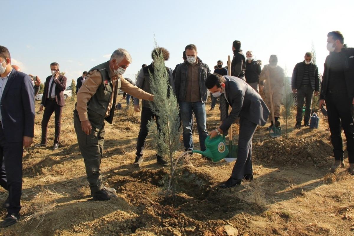 Kulp&rsquo;ta bin fidan toprakla buluştu