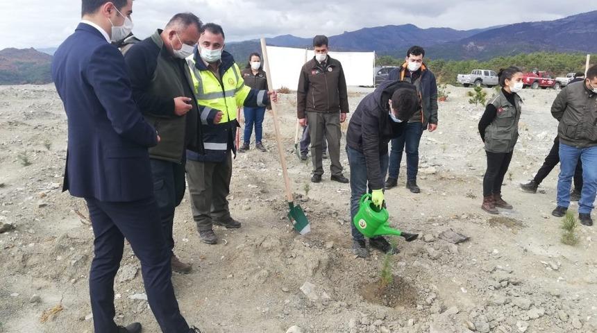 Han&ouml;n&uuml;&rsquo;nde 10 bin 10 fidan toprakla buluştu