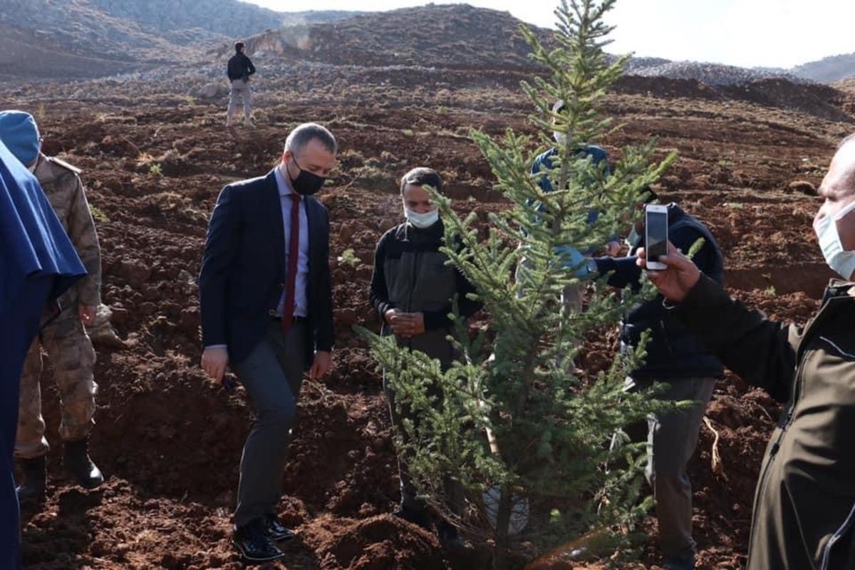 Hizan&rsquo;da fidan dikimi