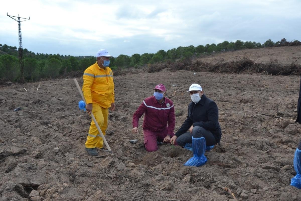 Biga&rsquo;da bin 500 fidan toprakla buluştu