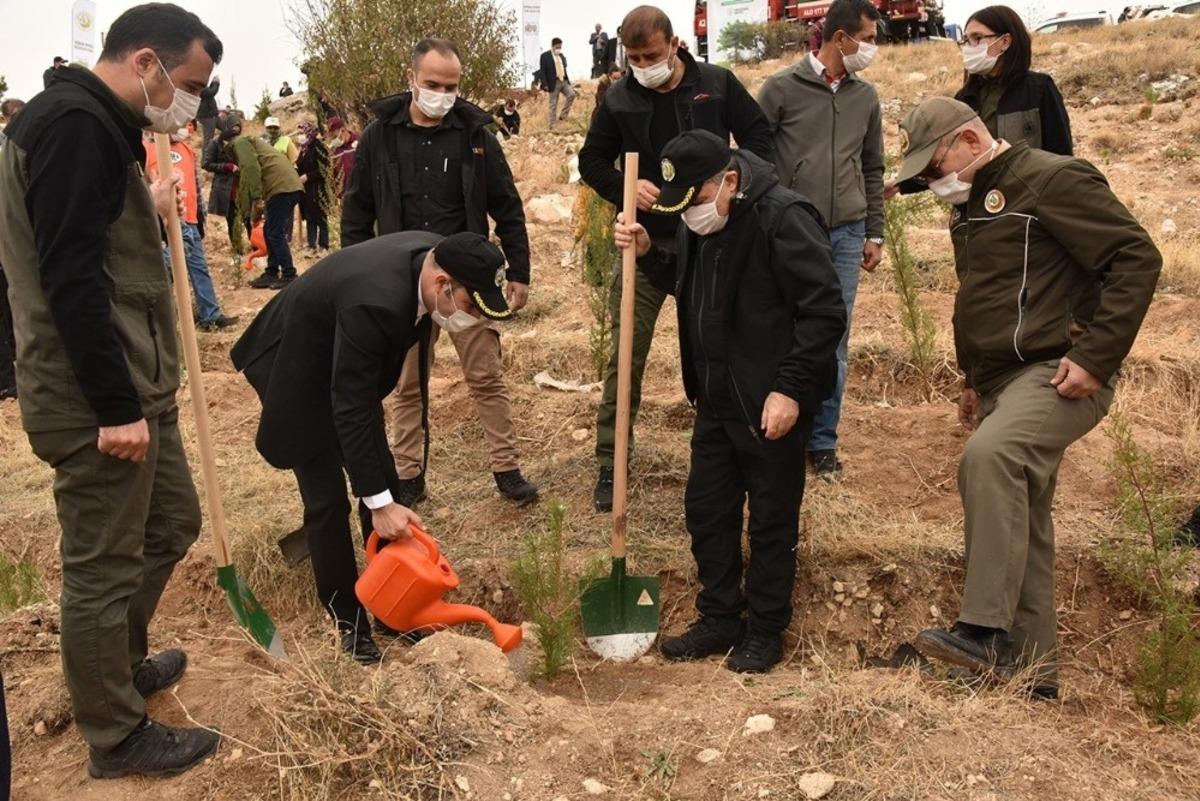 Karaman&rsquo;da ağa&ccedil;landırma g&uuml;n&uuml;nde 10 bin fidan toprakla buluştu