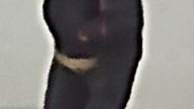 Almanya’da gümrük binasından 6,5 milyon Euro çalındı