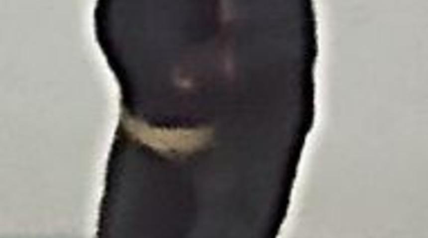 Almanya&rsquo;da g&uuml;mr&uuml;k binasından 6,5 milyon Euro &ccedil;alındı