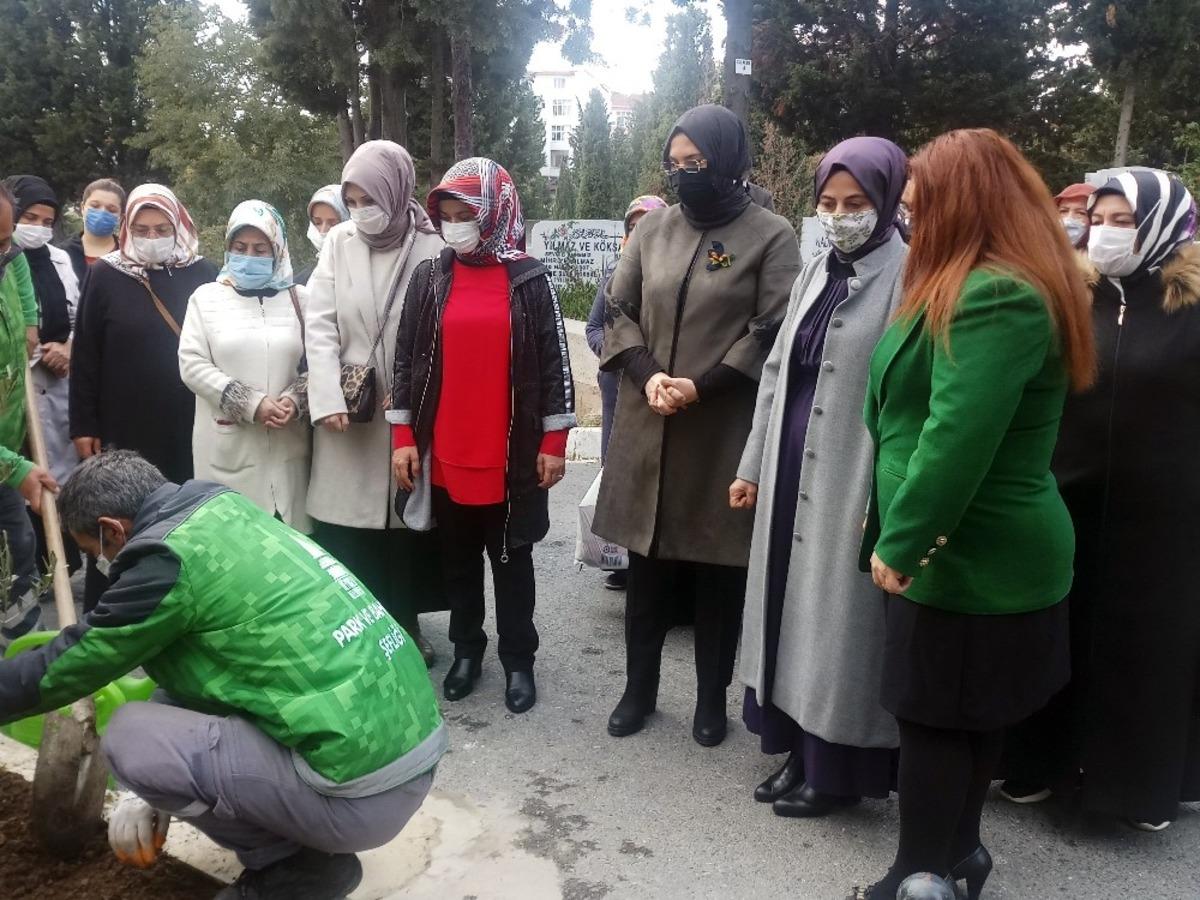 Milli Ağa&ccedil;landırma G&uuml;n&uuml;&rsquo;nde anlamlı fidan dikimi