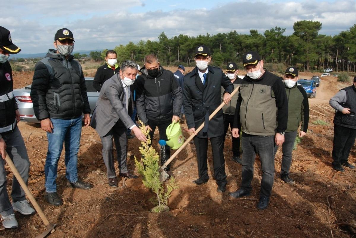 Bayrami&ccedil;&rsquo;te 10 bin fidan toprakla buluştu