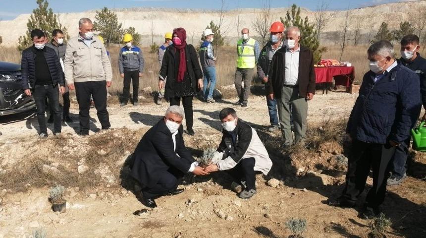 Hisarcık&rsquo;ta maden sahaları lavanta kokacak