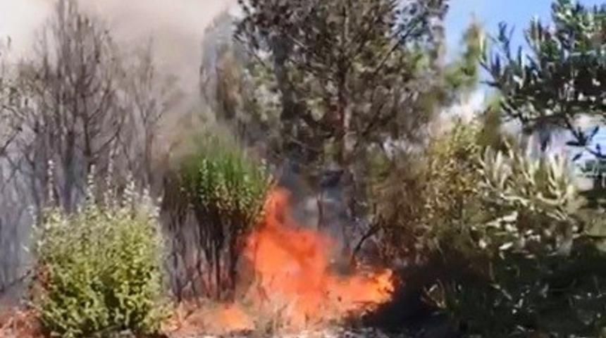 K&ouml;y&uuml;ndeki yangını &ccedil;eken muhtarın &uuml;z&uuml;nt&uuml;s&uuml; konuşmasına yansıdı