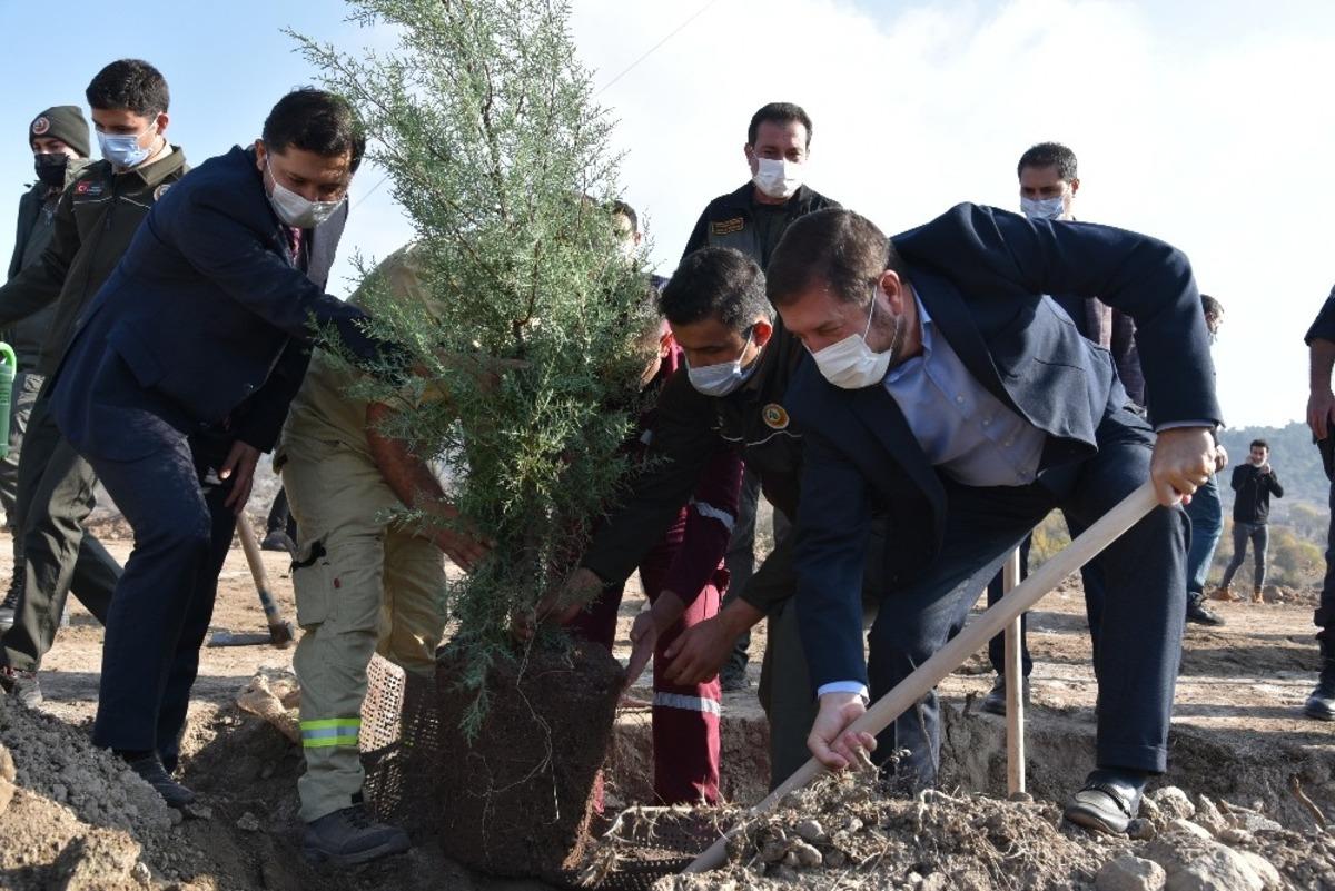 Sındırgı&rsquo;da 10 fidan toprakla buluştu