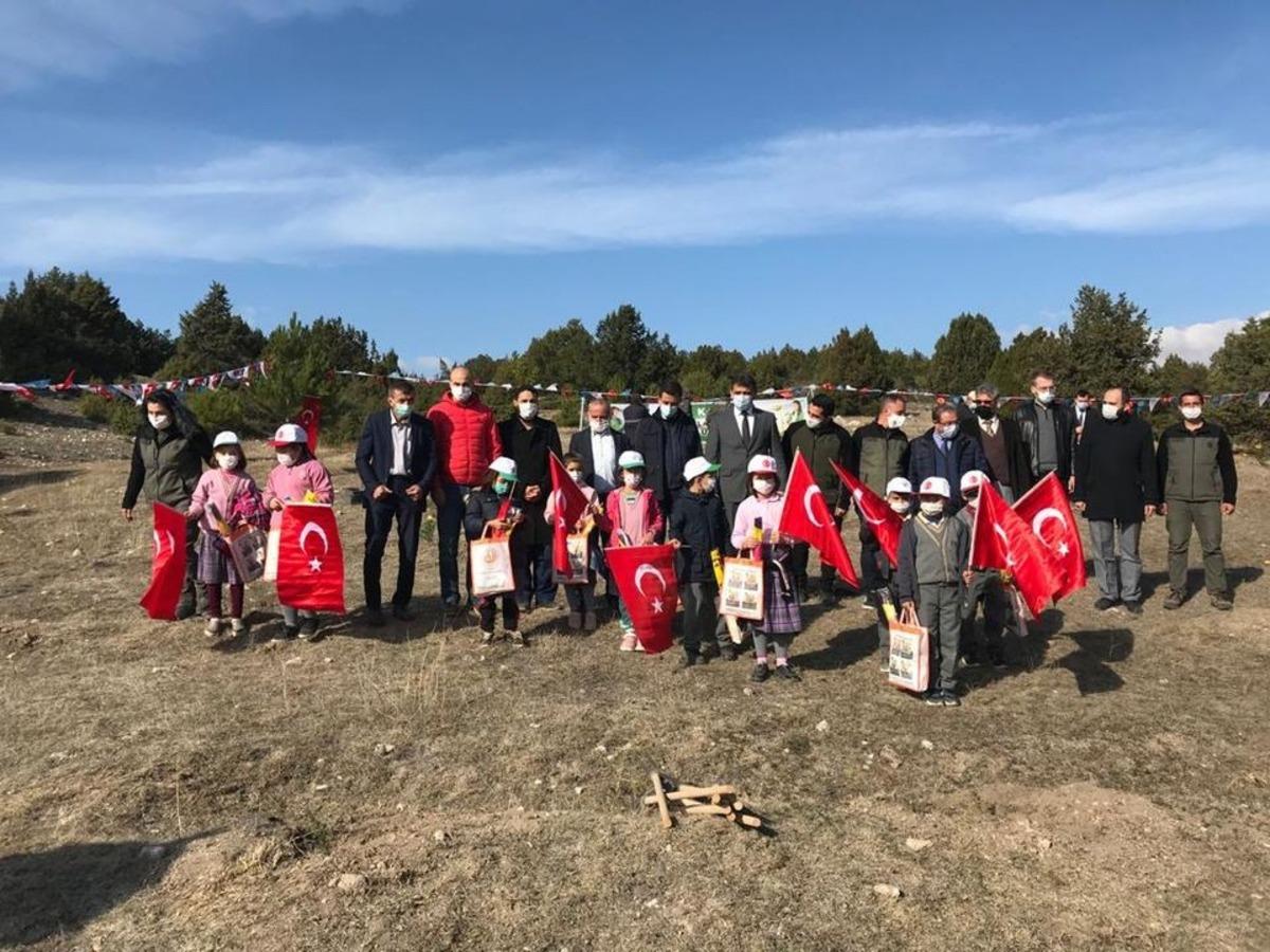 Aslanapa&rsquo;da bin adet sedir ağacı toprakla buluştu