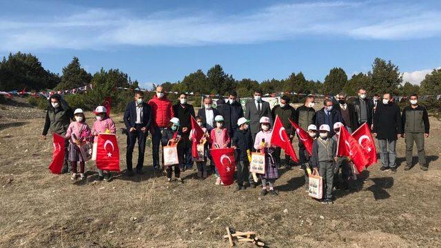 Aslanapa’da bin adet sedir ağacı toprakla buluştu