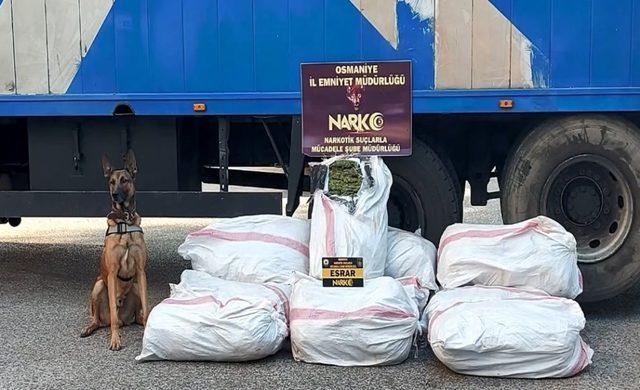 Osmaniye’de tır dorsesinde 135 kilo esrar ele geçirildi