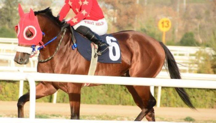 Şanlıurfa'dan acı haber! At yarışından dönen genç apranti İsmail Çizik hayatını kaybetti