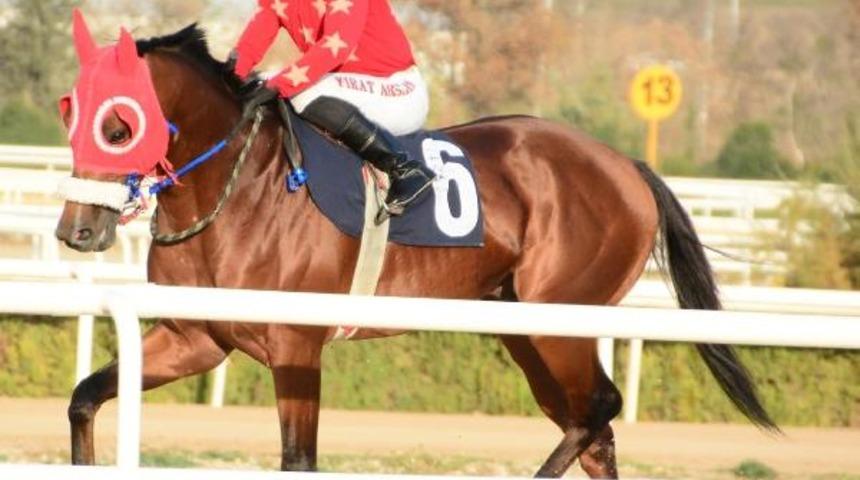 Şanlıurfa'dan acı haber! At yarışından d&ouml;nen gen&ccedil; apranti İsmail &Ccedil;izik hayatını kaybetti