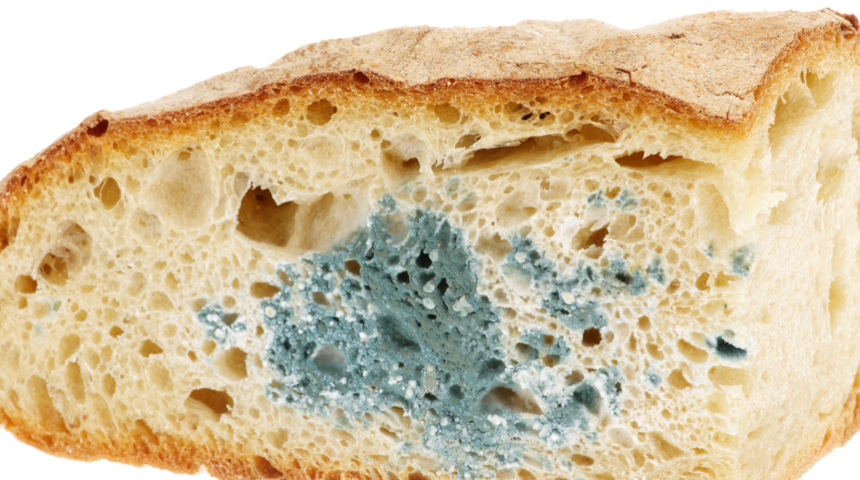 Bayatlamıyor! Ekmekleri günlerce taze tutan 4 yöntem