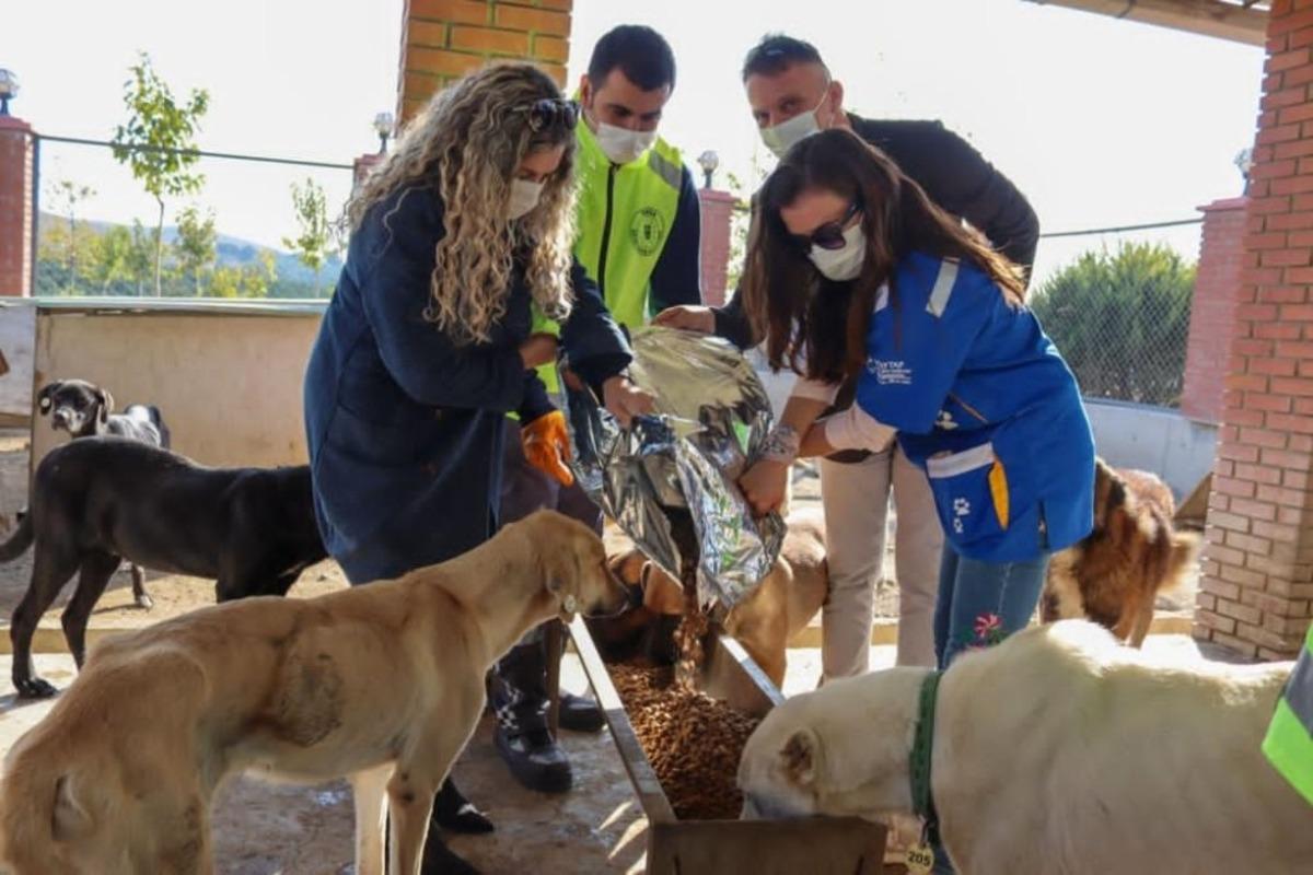 İzmir&rsquo;deki can dostlar da unutulmadı