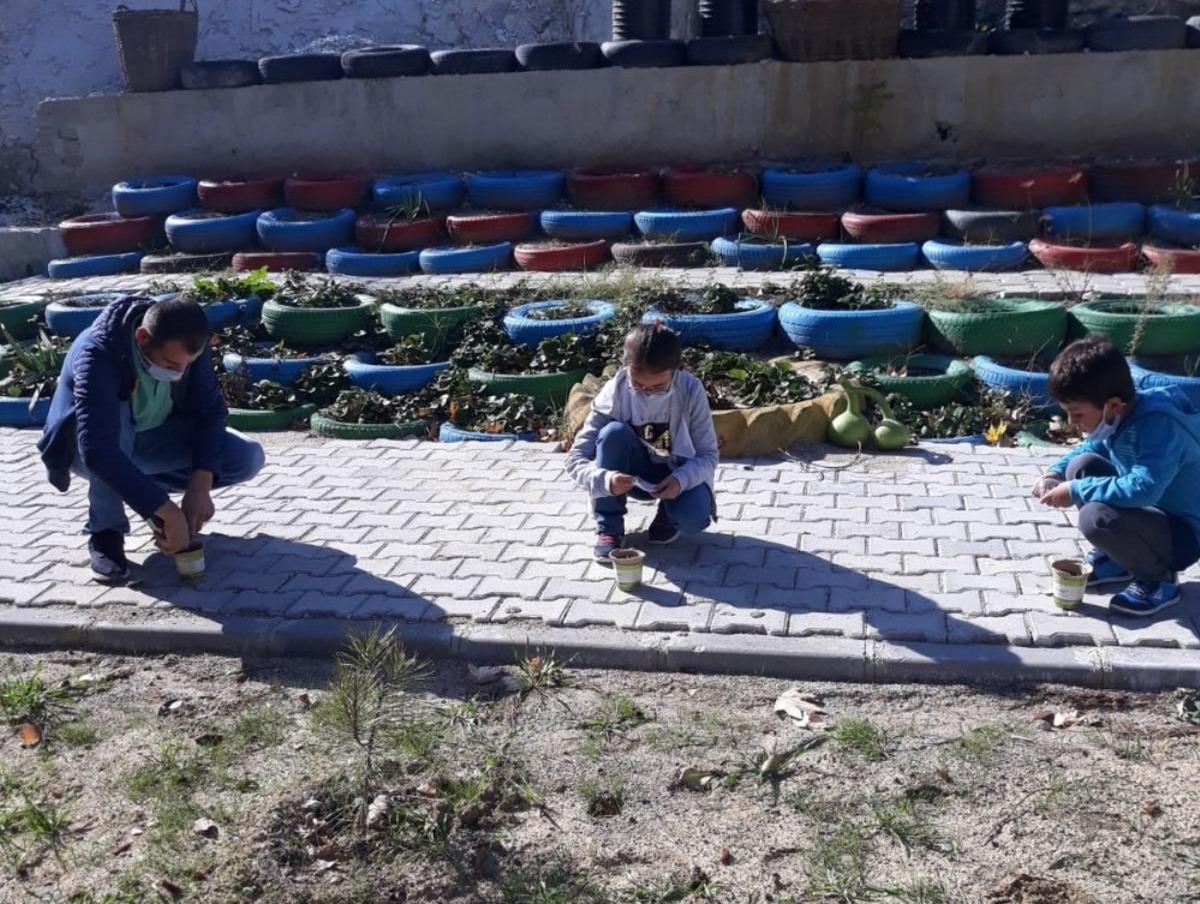 &Ouml;ğrenciler tohumları toprakla buluşturdu