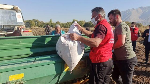 Elbistan Belediyesi, ata mirası siyez buğdayı üretecek