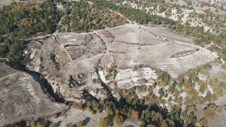 Yanan orman alanı kadın eliyle yeşerecek G2